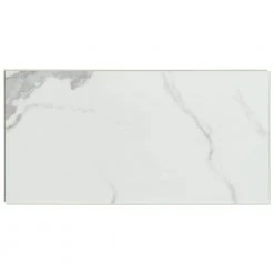 Carrara Luciano 11.81 in. W x 23.62 in. L Rigid Core Click Lock Luxury Vinyl Tile Flooring (19.37 sq. ft./case) by Home Decorators Collection -Floorzy Sales Shop carrara luciano home decorators collection vinyl tile vtrhdcarlc12x24 c3 1000
