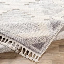 Eloise Gray 5 ft. x 7 ft. Area Rug by Home Decorators Collection 8 Eloise Gray 5 ft. x 7 ft. Area Rug by Home Decorators Collection -Floorzy Sales Shop gray home decorators collection area rugs s00161022759 66 1000